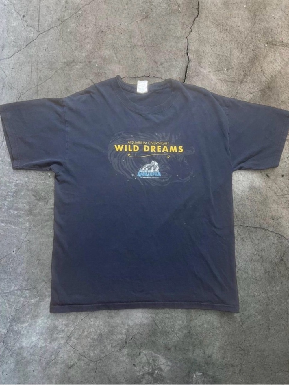 Aquarium Wild Dreams Blue Graphic Tee